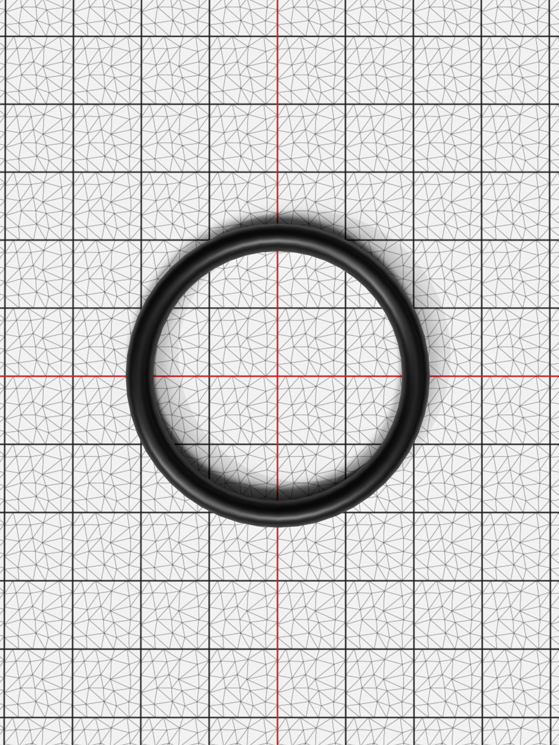 Clean photograph with only the grid and o-ring